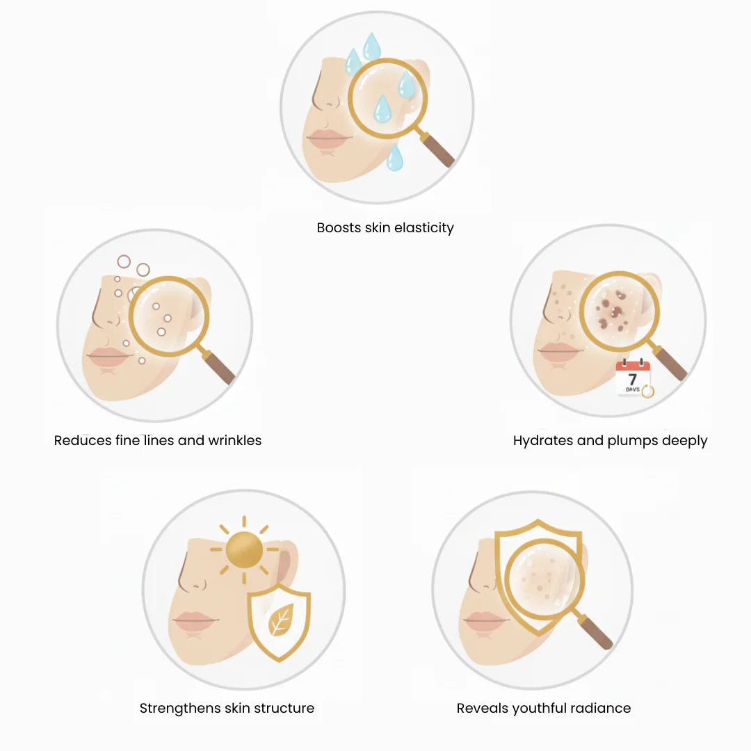 Collagen Elastin Serum